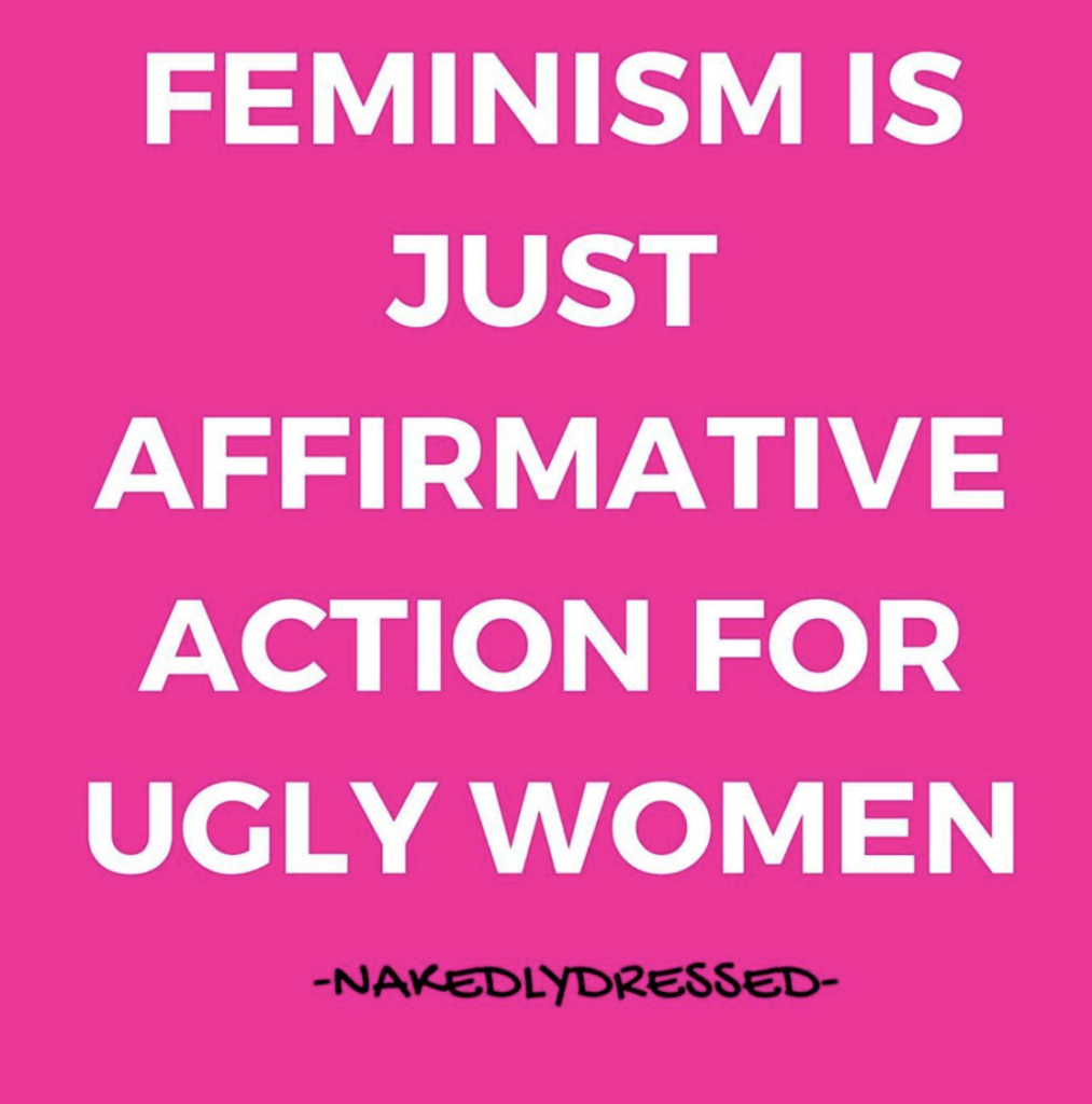 Feminist is just affirmative action for ugly women